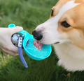 Stainless steel pet water bottle-Dog outdoor drinking cup